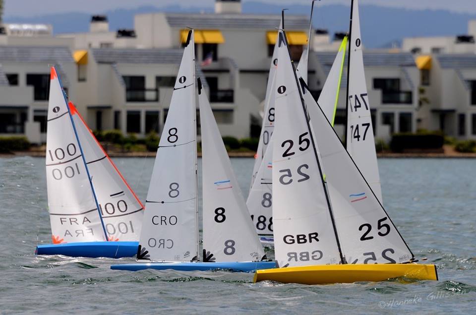 11165282_789284107845453_1943611334723378407_n